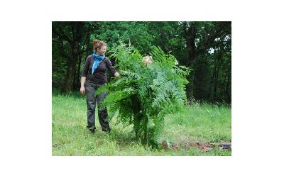 Parcours aventure Stage de survie en forêt dans le Périgord Noir