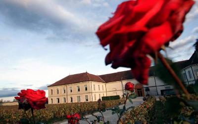 Cuisine française Dégustation de vins et déjeuner dans un château en Bourgogne