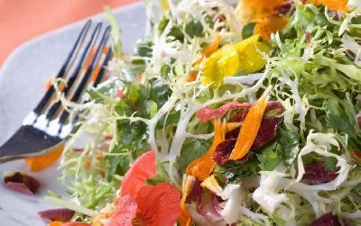 Cuisine française Repas avec vue sur la mer dans le Nord