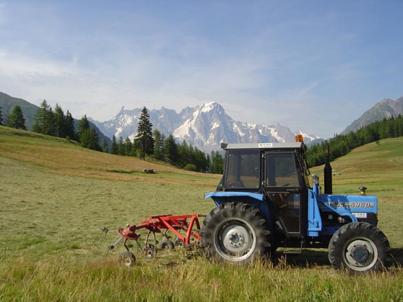 Agriculture de Montagne