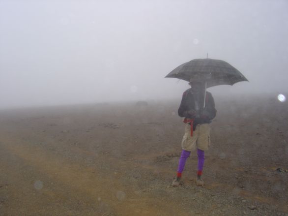 Gaudence in the fog