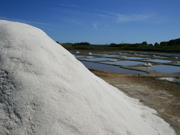 Le sel de Guérande