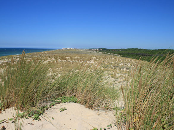 La Dune et Lacanau-Océan