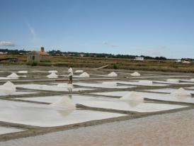 Marais salants, île de Noirmoutier