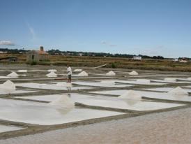 Marais salants, le de Noirmoutier