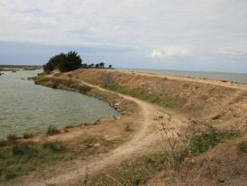 Polder de Sbastopol, Noirmoutier