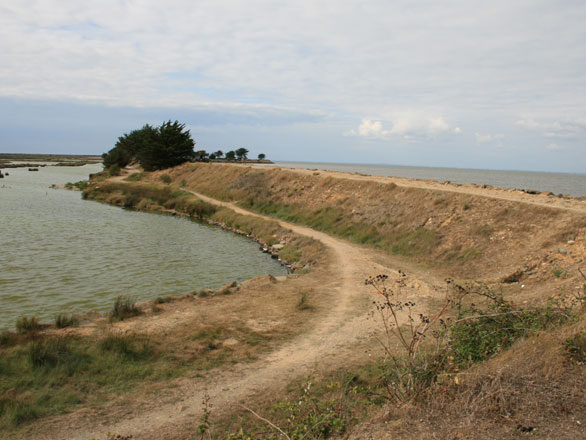 Polder de Sébastopol, Noirmoutier