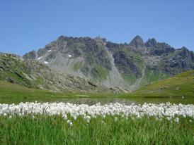 Les aiguilles de Charvet