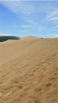 Dune du Pyla