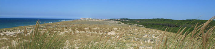 Lacanau, la plage, la dune