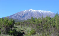 Le Kilimanjaro par Ronga