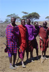 Massai et accacia au Kenya
