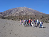 Trek au kilimanjaro