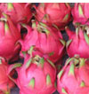 Dragon fruit Malaisie