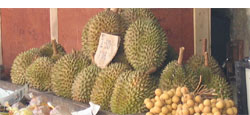 Rambutans