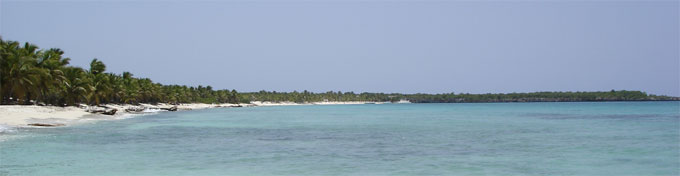 Ile Catalina