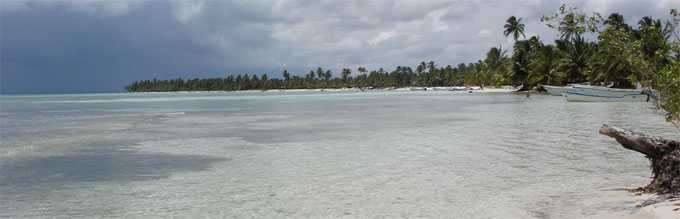 Saona