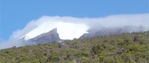 Le Kilimanjaro vu de puis la voie normale