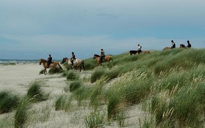 Bord de mer Séjour à cheval au gré des dunes dans la baie de Somme