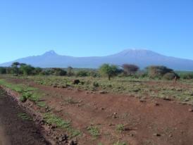 Le Mawenzi et le Kilimanjaro
