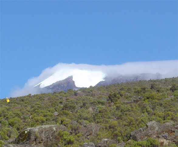 Kilimanjaro, voie normale