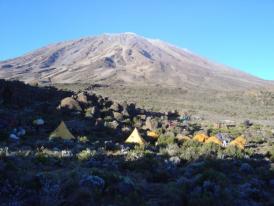 Kilimanjaro, camp II, 3900 mètres