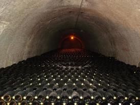 Crayere  Champagne : belle cave !